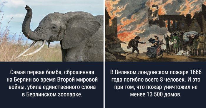 25 странных и любопытных исторических фактов