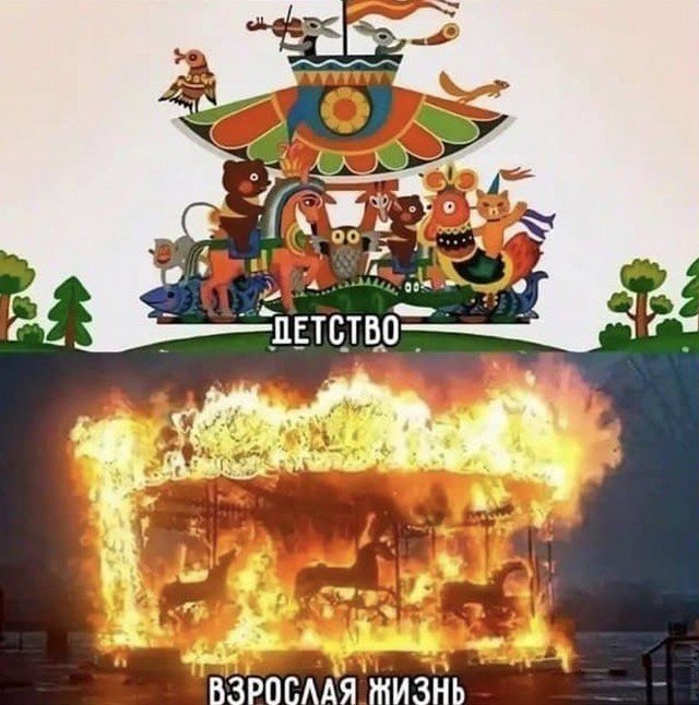 Шутки и мемы из Сети