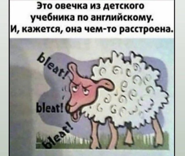 Шутки и мемы из Сети