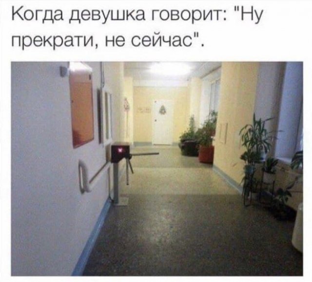 Шутки и мемы из Сети