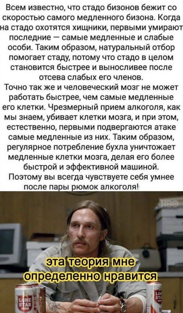 Шутки и мемы из Сети