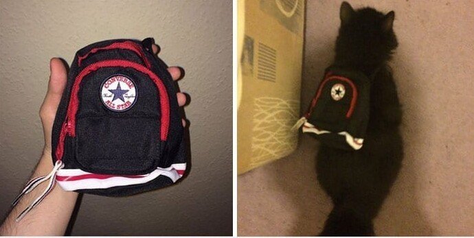 15 забавных разочарований всех времён, которые преподнёс шопинг онлайн