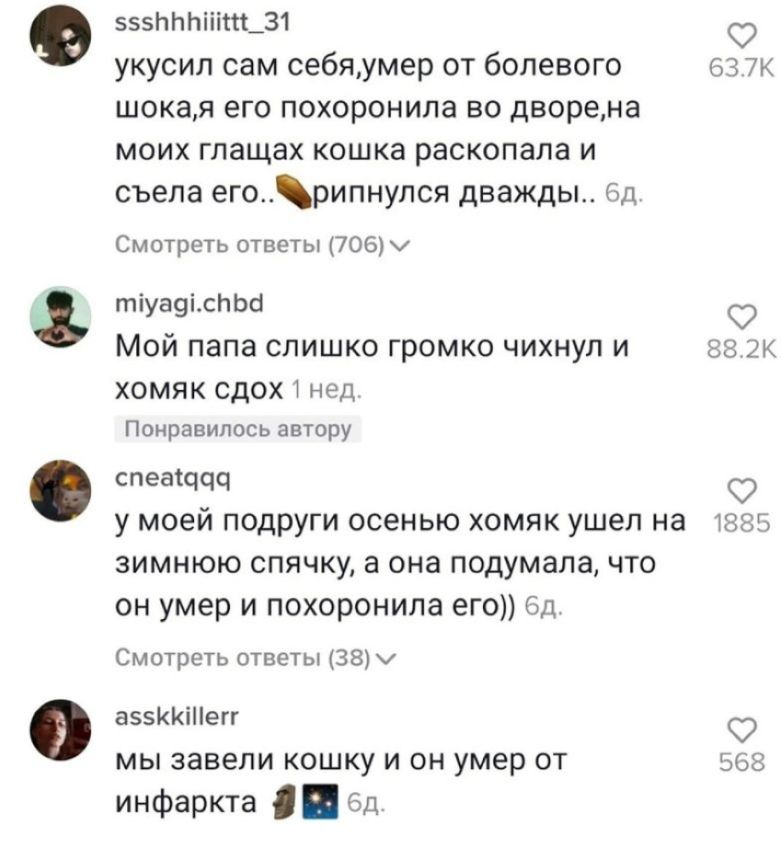 хомяк