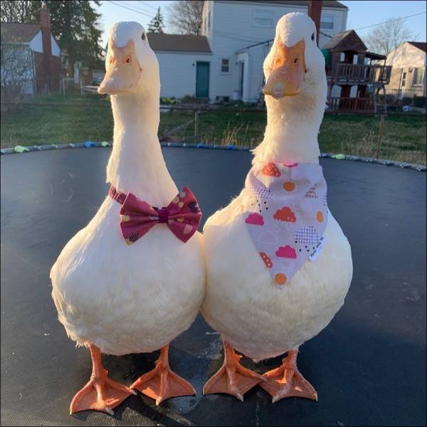 Смешные картинки 24 мая 2021 года