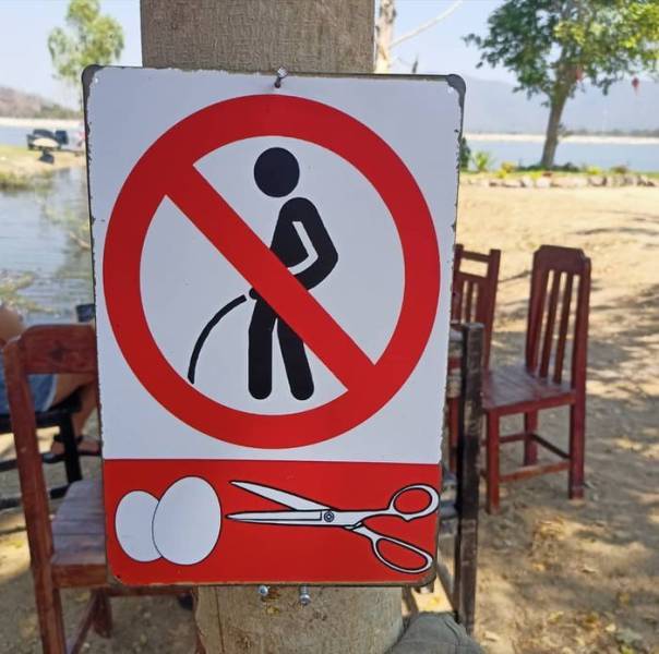 Смешные картинки 24 мая 2021 года