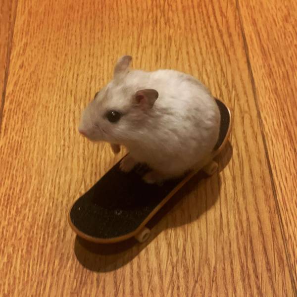 Смешные картинки 24 мая 2021 года