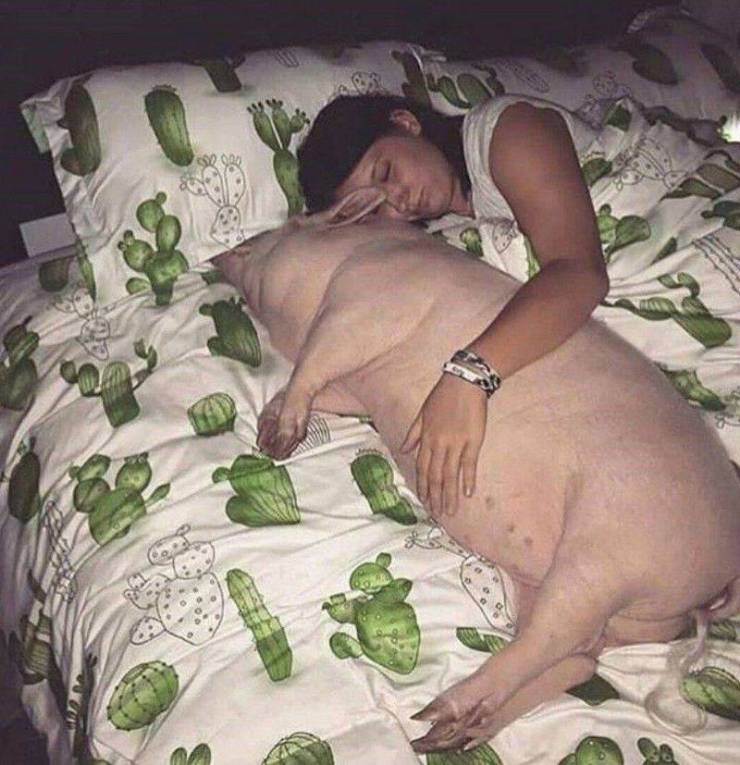 Смешные картинки 24 мая 2021 года