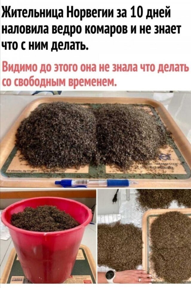 Смешные комментарии и переписки из социальных сетей