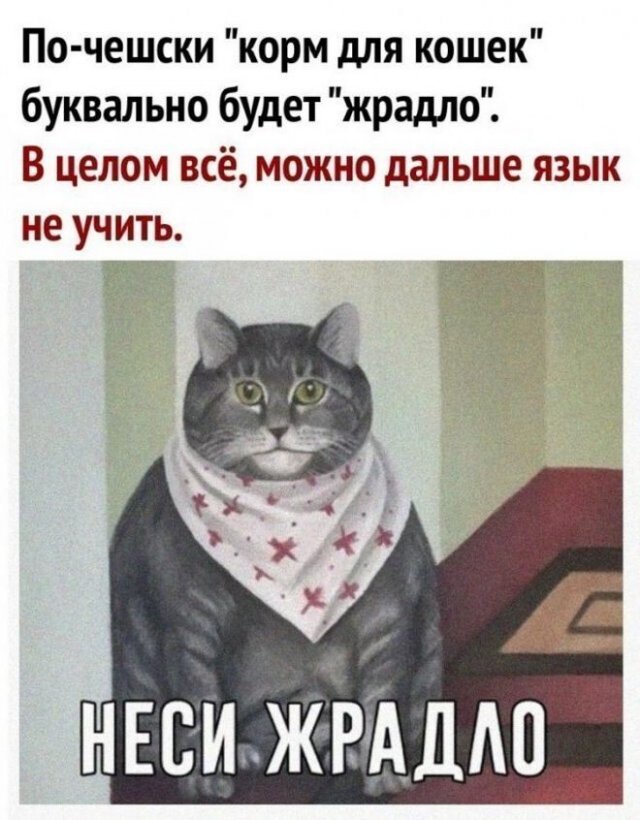 Смешные комментарии и переписки из социальных сетей