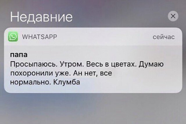 Смешные комментарии и переписки из социальных сетей