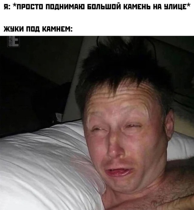 Смешные картинки 25 мая 2021 года