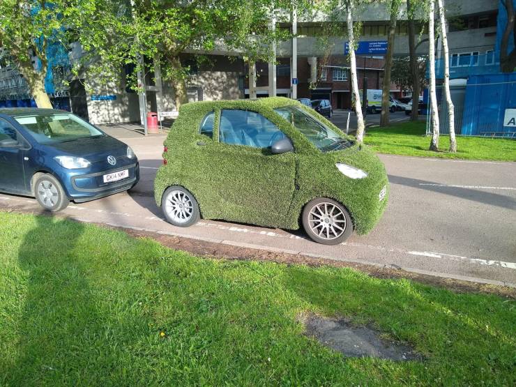 Смешные картинки 26 мая 2021 года