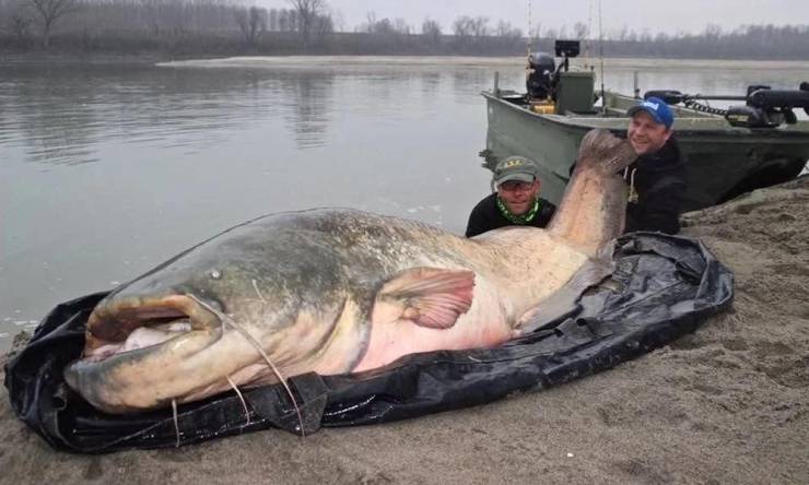 Смешные картинки 26 мая 2021 года