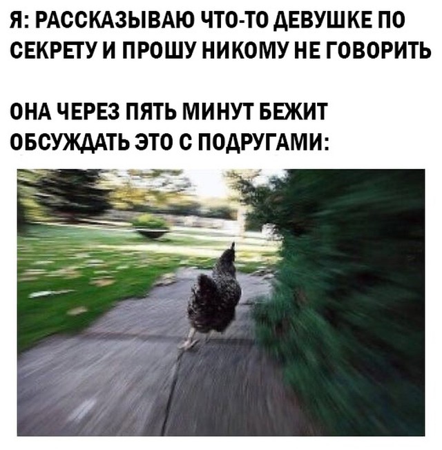 Смешные картинки 26 мая 2021 года