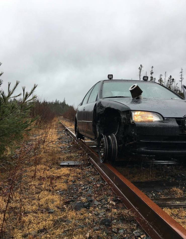 Смешные картинки 26 мая 2021 года