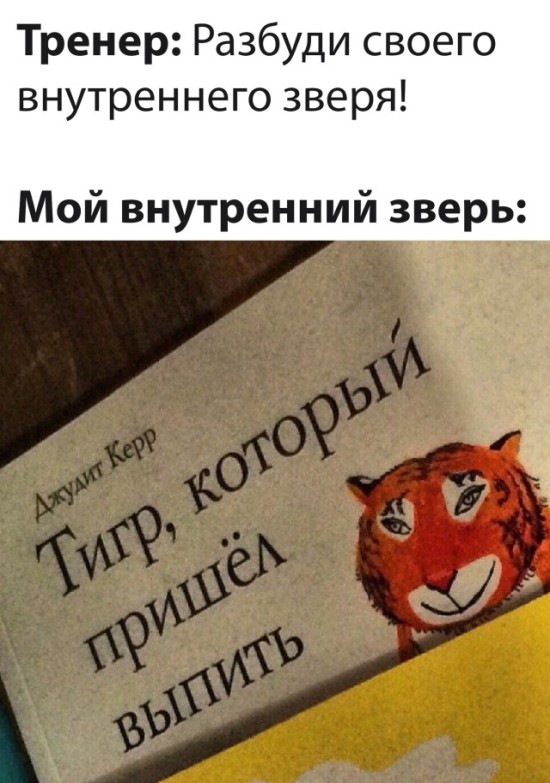 Смешные картинки вечер 28 мая 2021