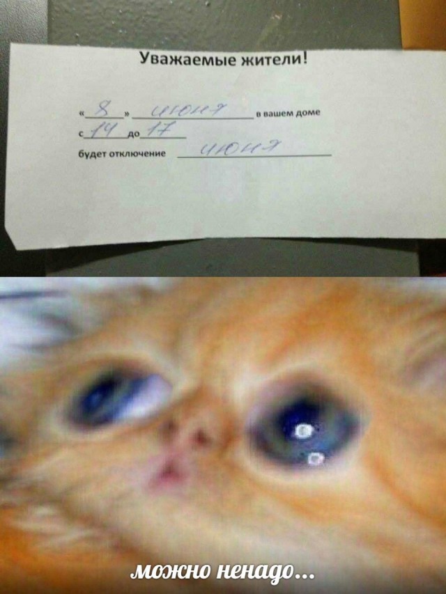 Смешные картинки 2 июня 2021