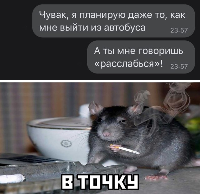 Смешные картинки 3 июня 2021 года