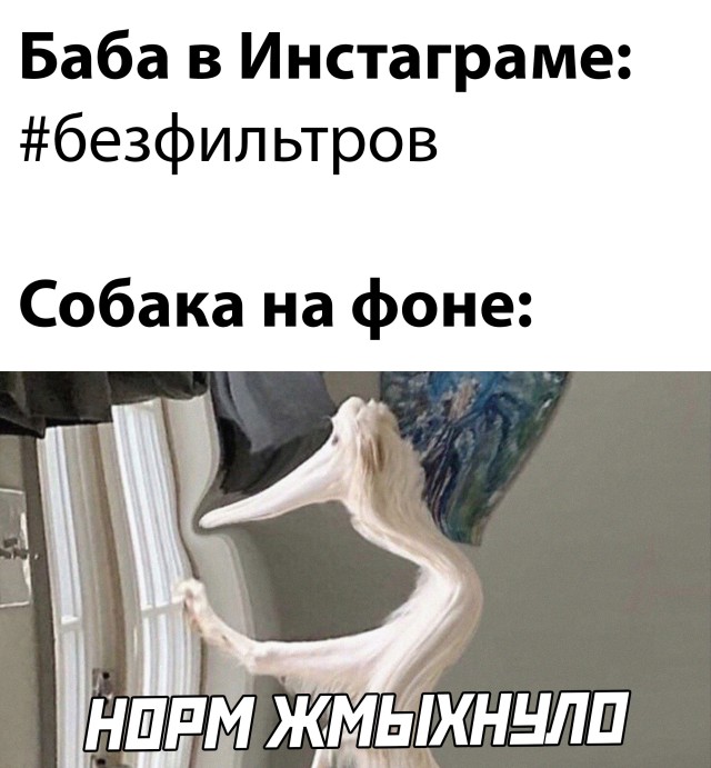 Смешные картинки 3 июня 2021 года