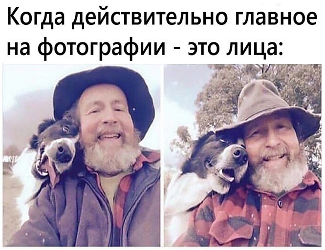 Смешные и познавательные картинки