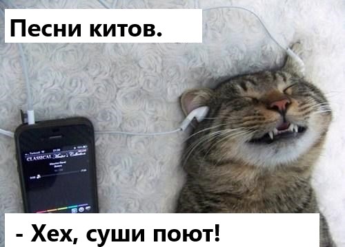 Фото №2 - 5 удивительных загадок из мира животных