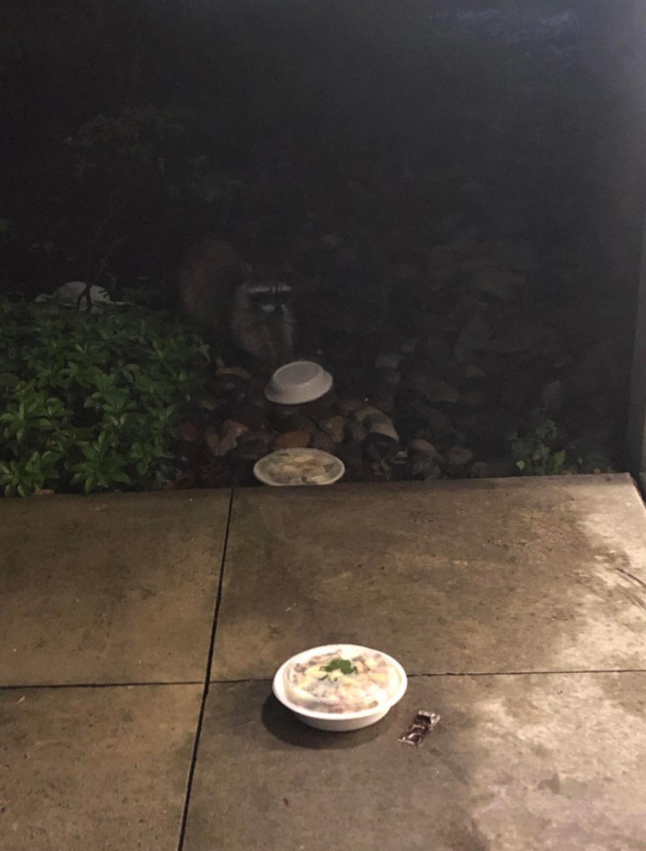 Бывают в жизни огорчения