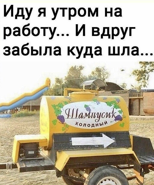 Смешные и познавательные картинки