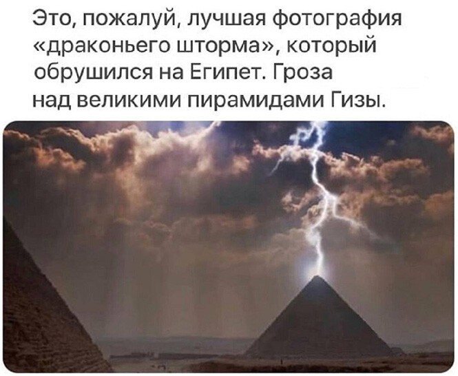 Смешные и познавательные картинки