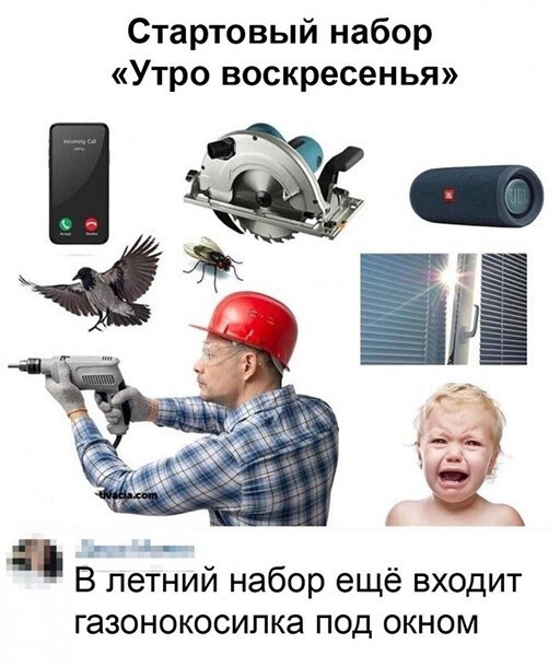 Смешные и познавательные картинки