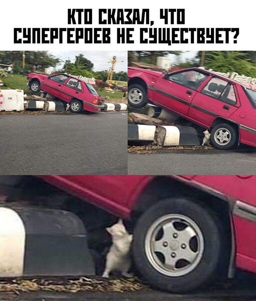 Смешные и познавательные картинки