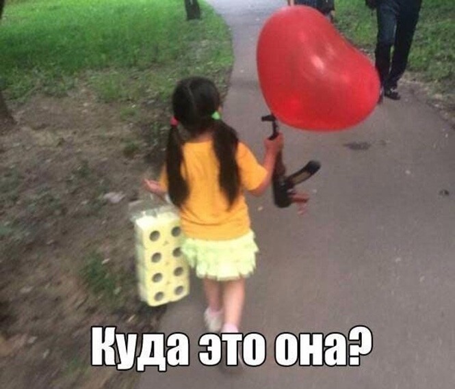 Смешные и познавательные картинки