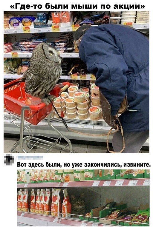 Смешные и познавательные картинки