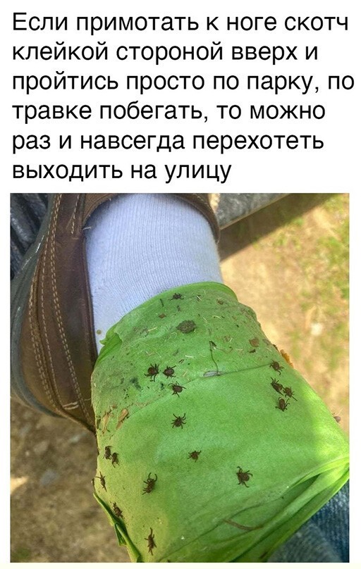 Смешные и познавательные картинки