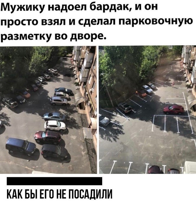 Смешные и познавательные картинки