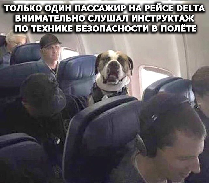 Смешные и познавательные картинки