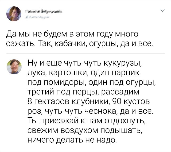19 хлестких комментариев от людей, которые и не думают держать в узде свое остроумие