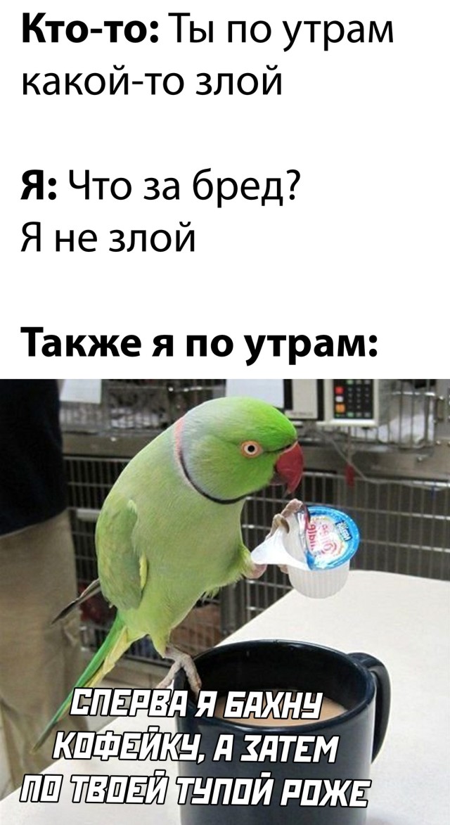 Смешные картинки 21 июня 2021