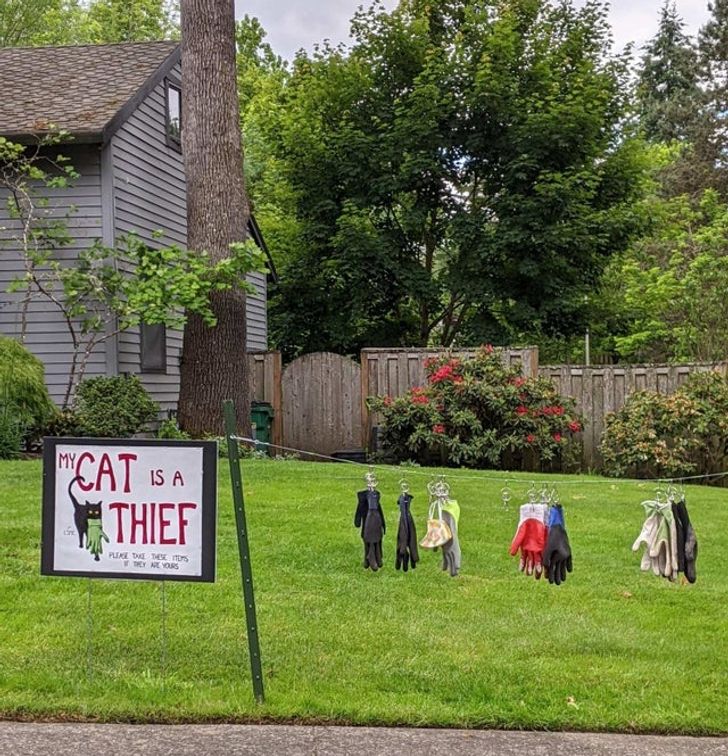 20 фото, на которых драма буквально переливается через край