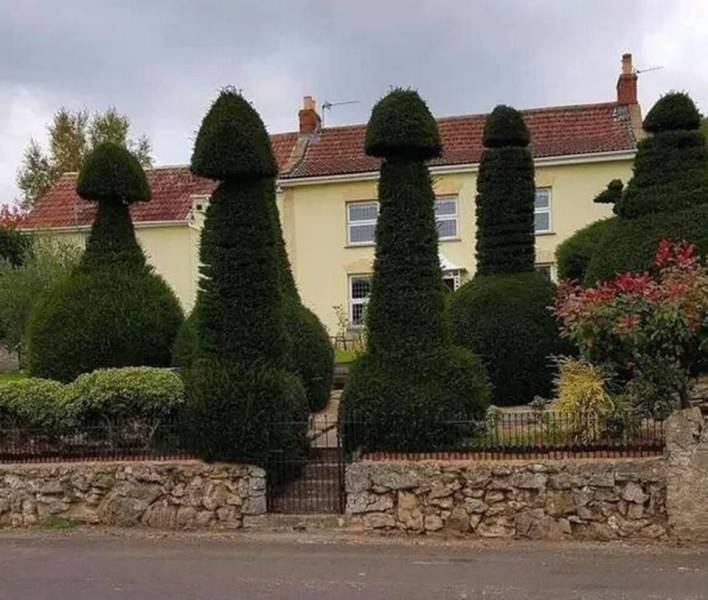 Смешные картинки вечер 22 июня 2021