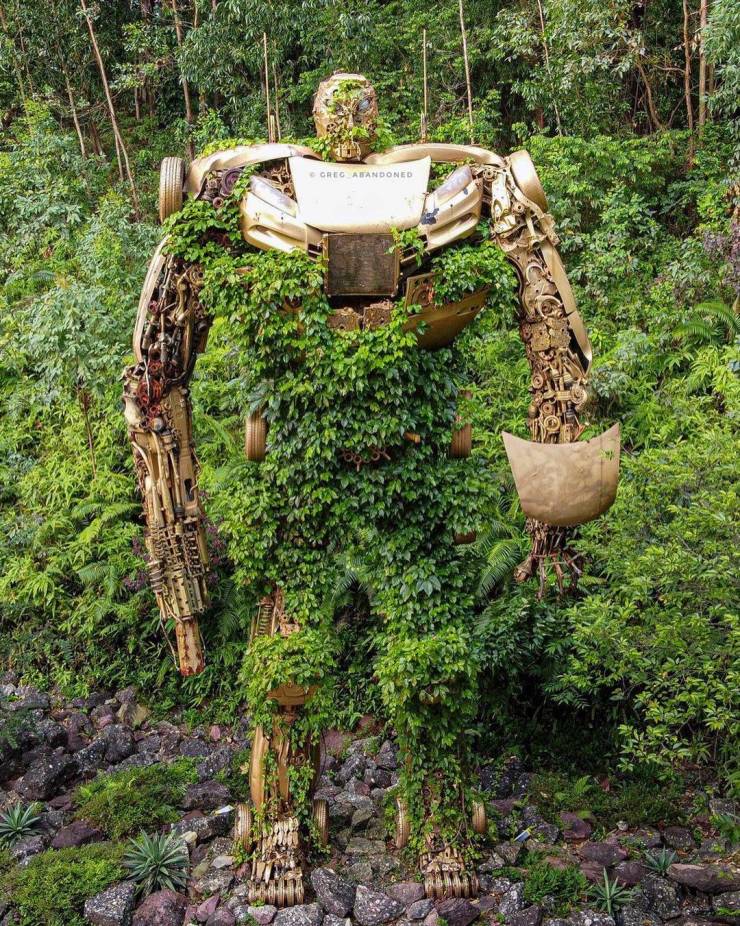 Смешные картинки вечер 22 июня 2021