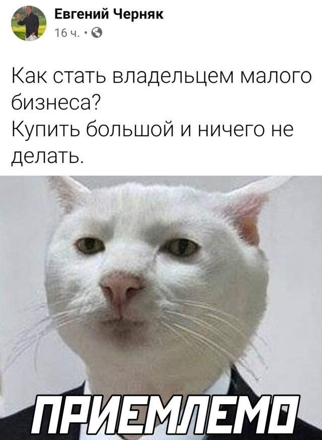 Смешные картинки вечер 22 июня 2021