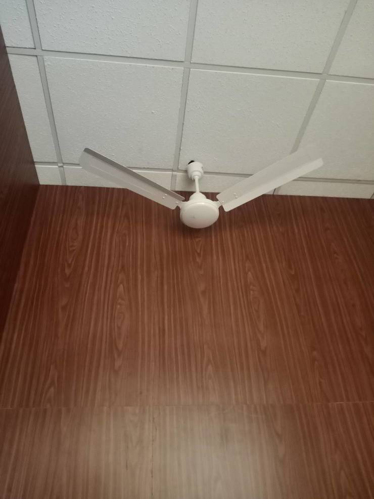 Смешные картинки вечер 22 июня 2021