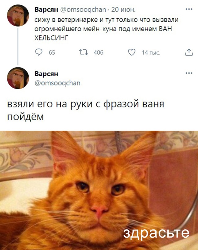 Смешные картинки вечер 22 июня 2021