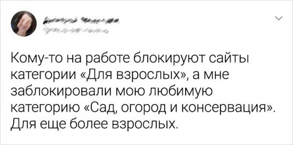Подборка забавных твитов