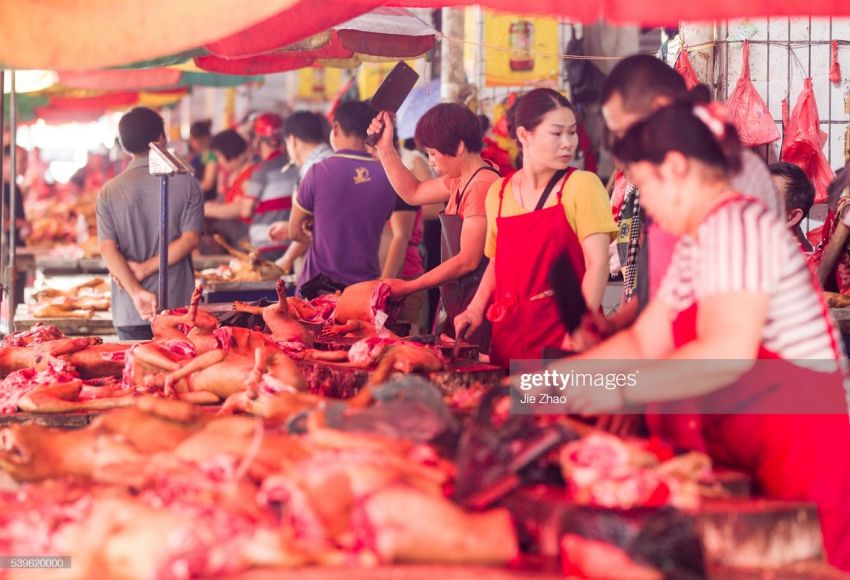 Фестиваль собачьего мяса в Китае
