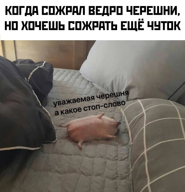 Смешные картинки 23 июня 2021