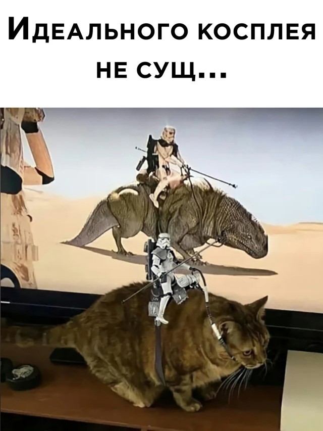 Смешные картинки 23 июня 2021