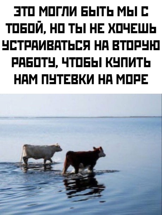 Смешные картинки вечер 24 июня 2021