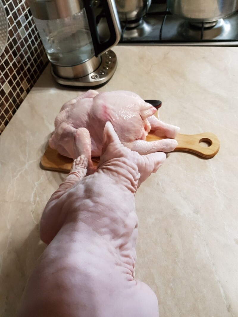 Без кота и жизнь не та