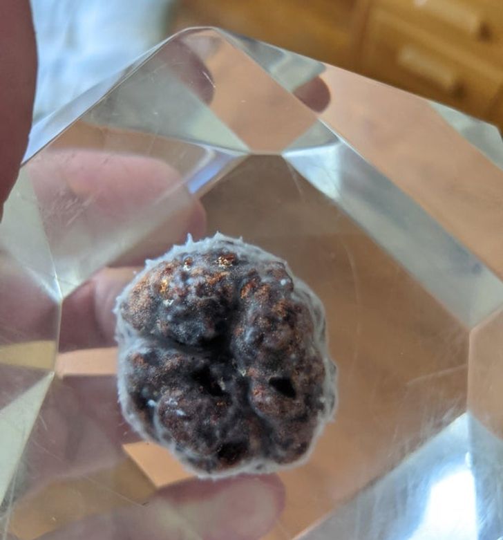 19 исчерпывающих фото, которые наглядно показывают, что время несется со скоростью космического корабля